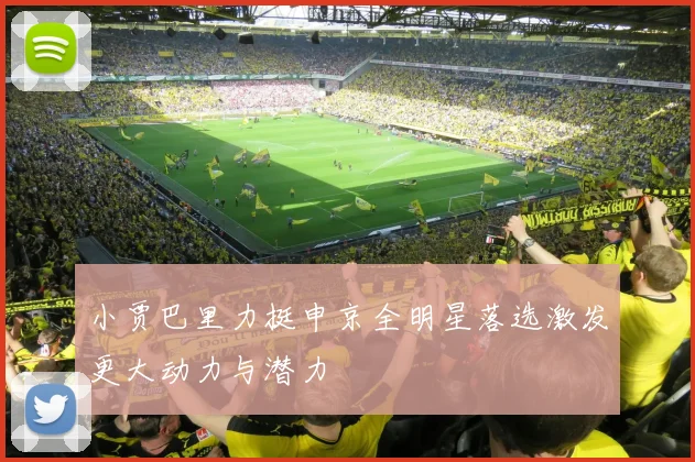 小贾巴里力挺申京全明星落选激发更大动力与潜力