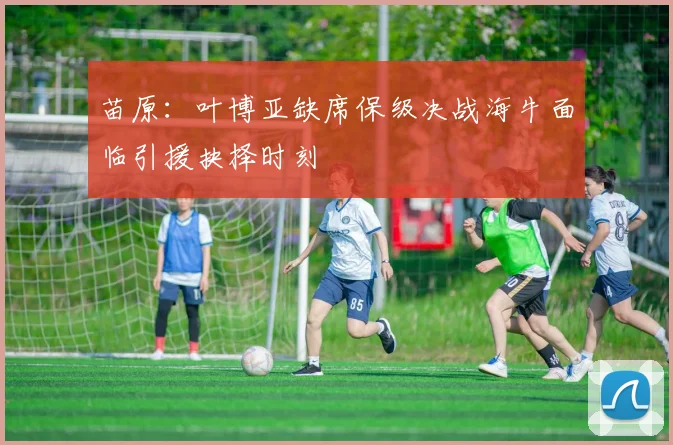 苗原：叶博亚缺席保级决战海牛面临引援抉择时刻